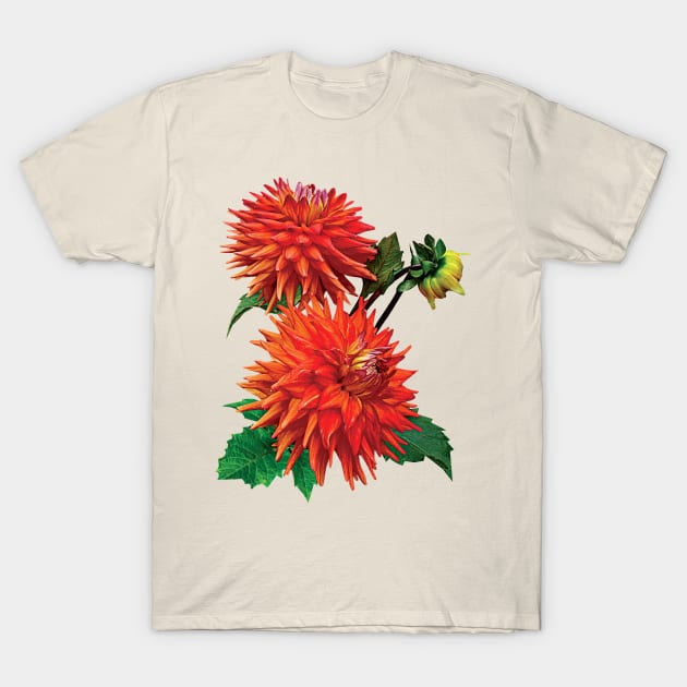 Dahlia Hot Shot T-Shirt by SusanSavad